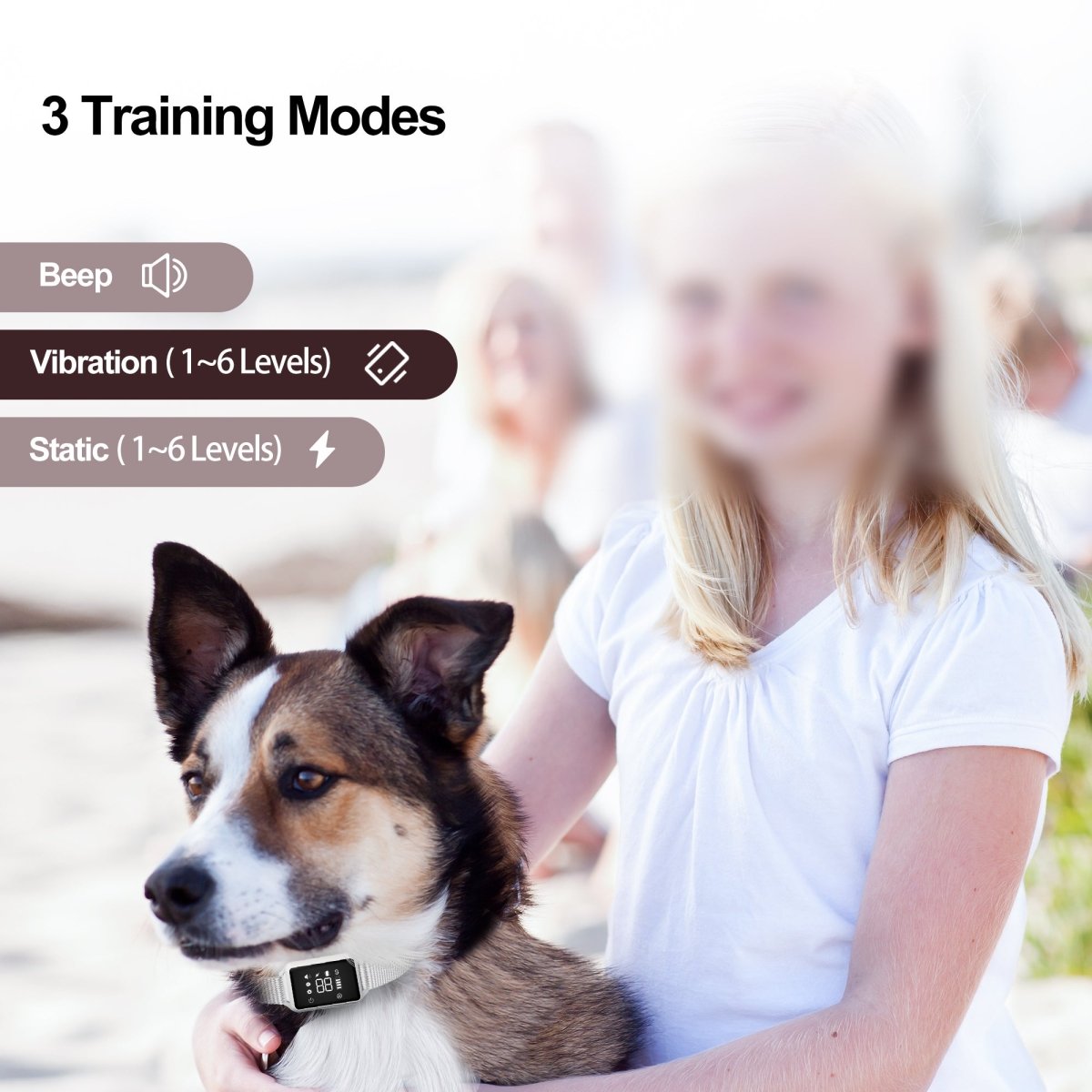 Dog Bark Collar B800c White - Rechargeable, Advanced Anti Barking Collar, LCD Display - Pawious