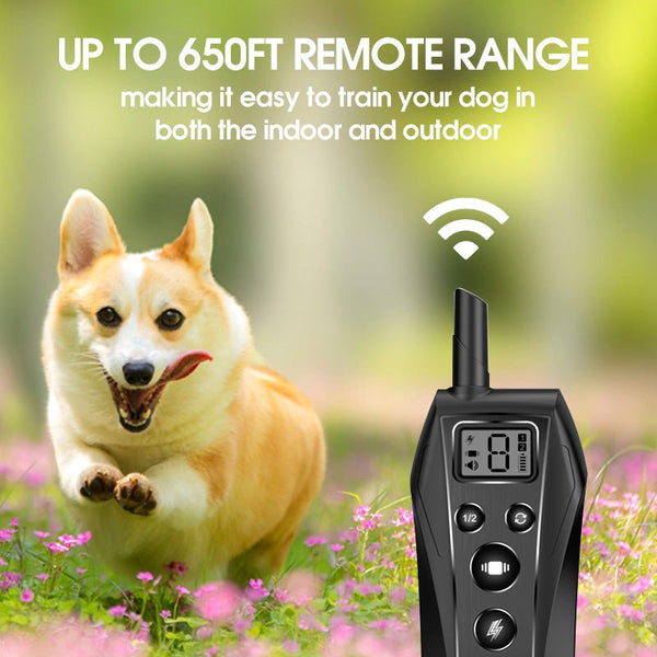 Dog Training Collar T700 - Waterproof, Long Lasting Rechargeable Battery, 650ft Range - Pawious