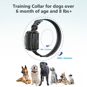 Dog Training Collar T720 for Hunting - 3300ft Range, IPX68 Waterproof, LED Mode, 2 Dog Set - Pawious