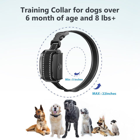 Dog Training Collar T720 for Hunting - 3300ft Range, IPX68 Waterproof, LED Mode, 2 Dog Set - Pawious