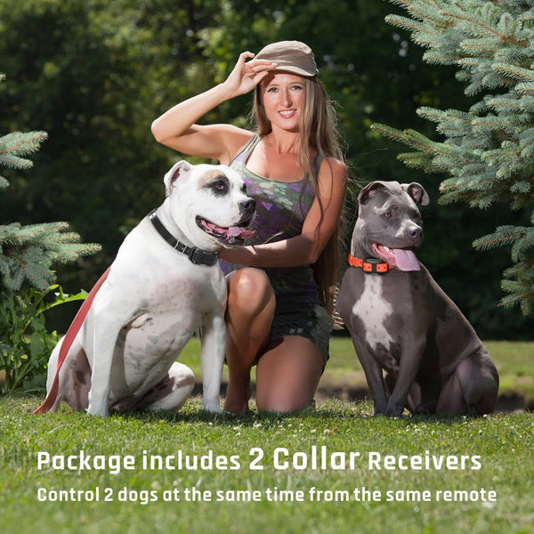 Dog Training Collar T776 - Rechargeable, Long Range 2700ft, LED Light Mode, 2 Dog Set - Pawious