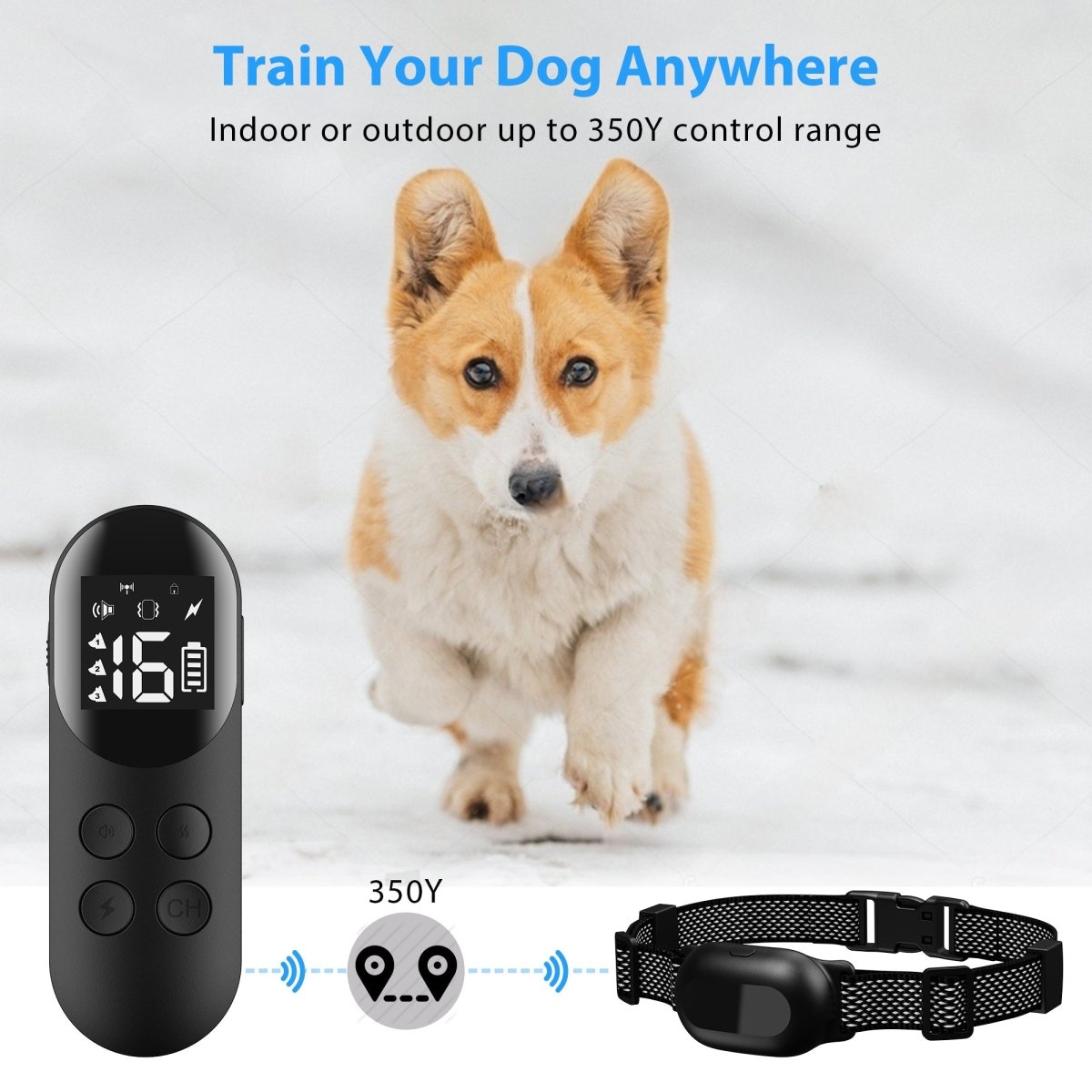Dog Training Collar with Remote T200 Black - 2 Dog Set, IPX68 Waterproof, 1000ft Range - Pawious
