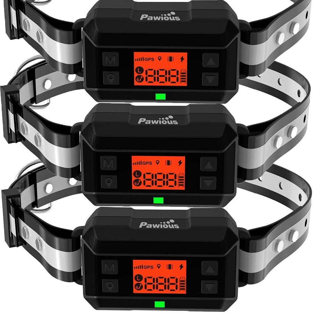 Gps dog fence 2024 cost