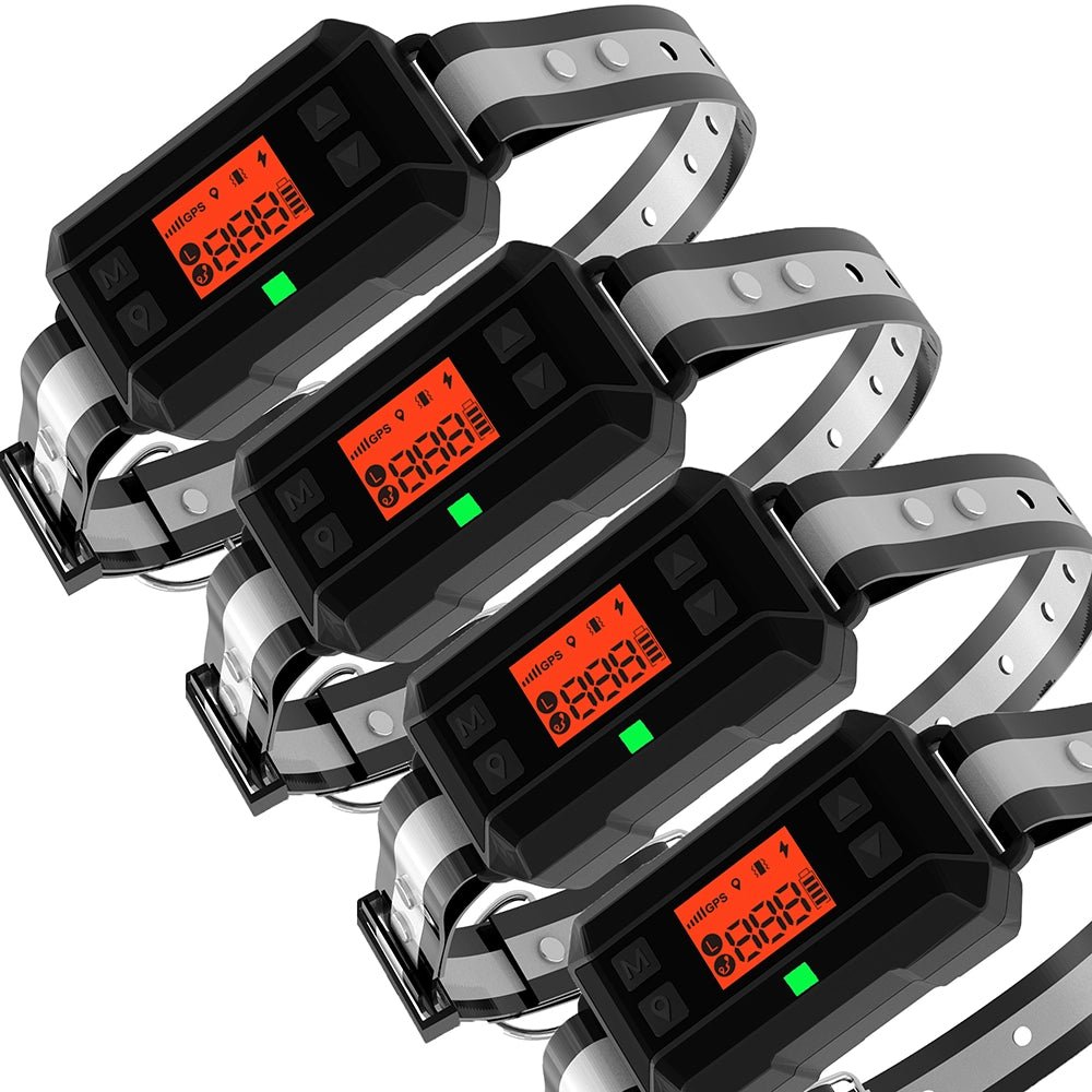 Invisible fence gps cost hot sale