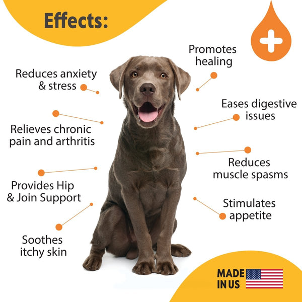 Hemp Oil for Dogs and Cats - USDA Organic, Large 2oz Bottle, Made in USA - Omega 3, 6 and 9, Vitamins A and E - Hip and Joint Support - Pawious