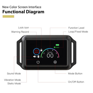 Smart Dog Bark Collar B800 Black - Rechargeable, Waterproof IPX68, Small to Large Dogs, Adjustable 5-22in, Color Display