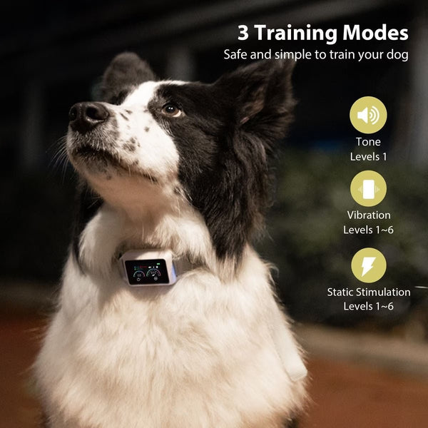 Smart Dog Bark Collar B800 Grey - Rechargeable, Waterproof IPX68, Small to Large Dogs, Adjustable 5-22in, Color Display - Pawious