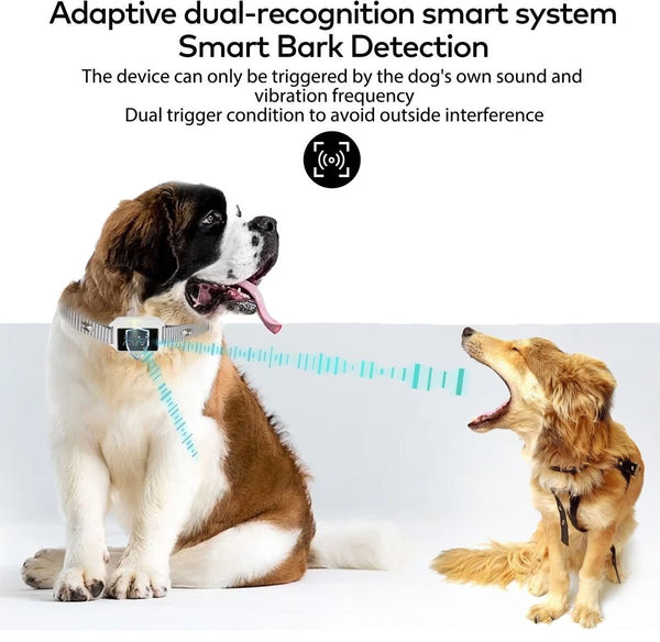 Smart Dog Bark Collar B800 Grey - Rechargeable, Waterproof IPX68, Small to Large Dogs, Adjustable 5-22in, Color Display - Pawious