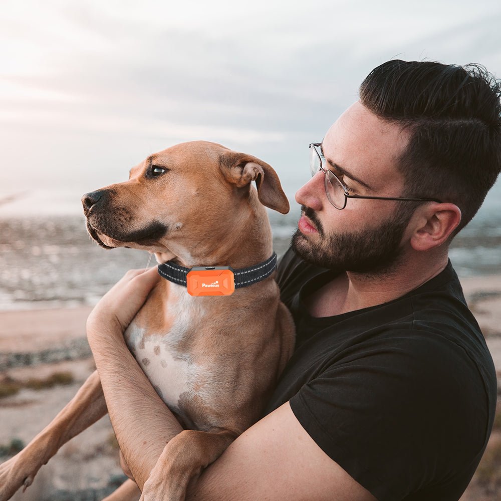 Wireless Dog Fence TZF381 Orange, 2in1 Fence & Dog Training Collar