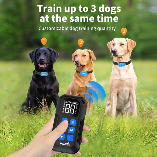 Wireless Dog Fence TZ-F381, 2-in-1 Fence & Training Collar - with Charging Station, 2 Dog Set, Blue - Pawious